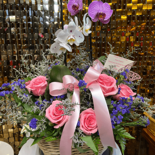 The Garden of Orchids